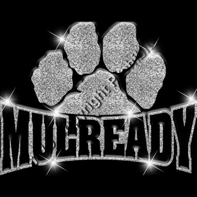 GLT32   SILVER GLITTER Thumbnail