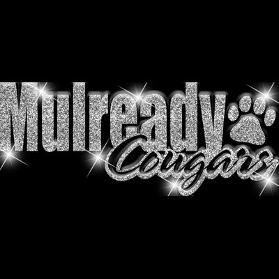 GLT1   SILVER GLITTER Thumbnail